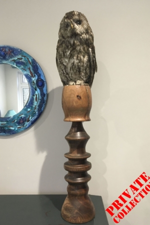 Tawny owl, on candlestick