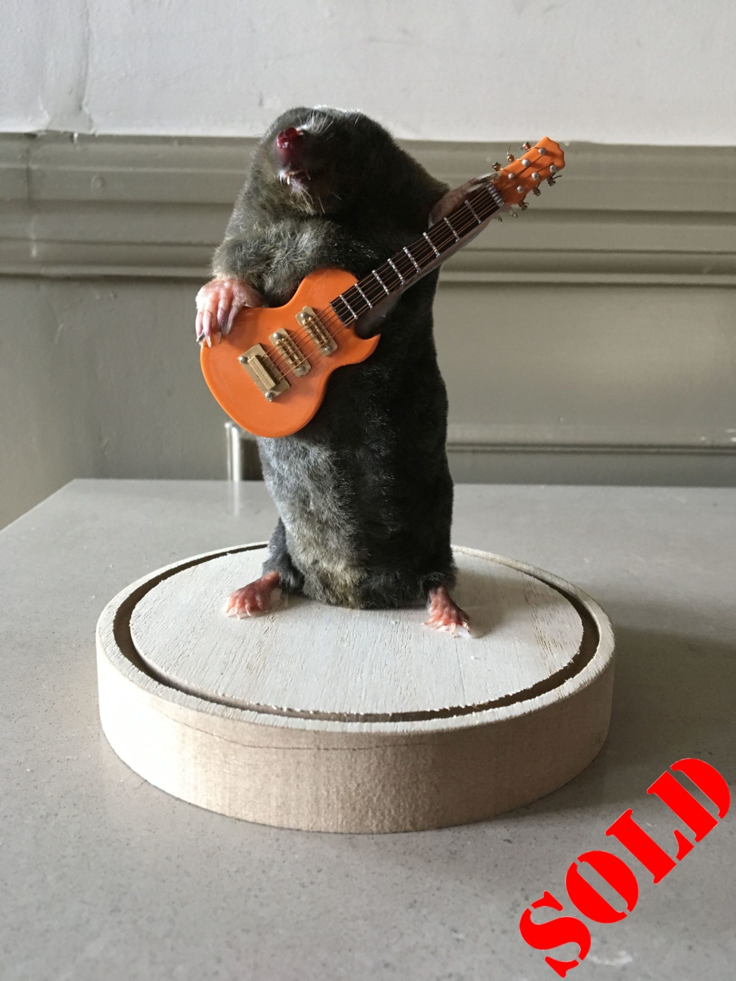 Rock and roll Mole, with guitar