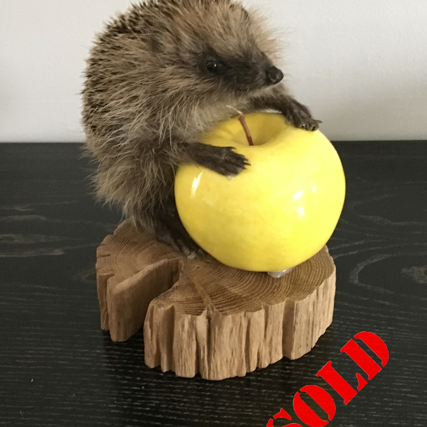 Baby Hedgehog on green ceramic apple