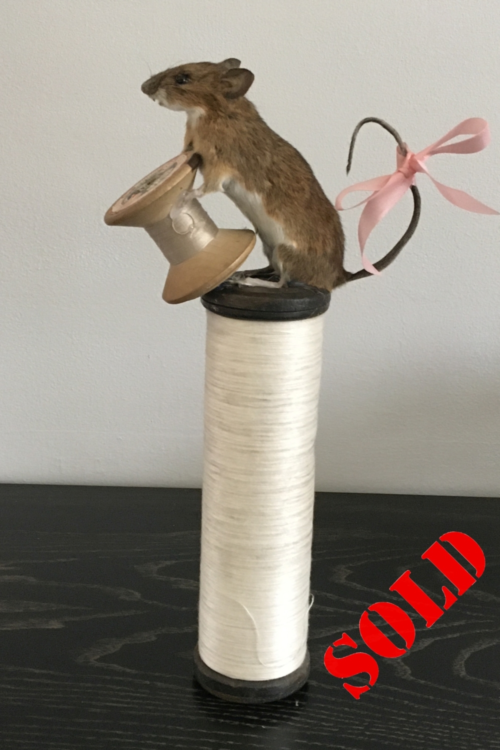 Wood Mouse, as Tailor of Gloucester, on vintage bobbin