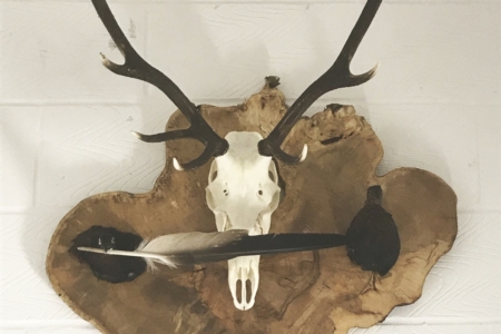 Special commission- two Grouse heads, 1 with Eagle feather