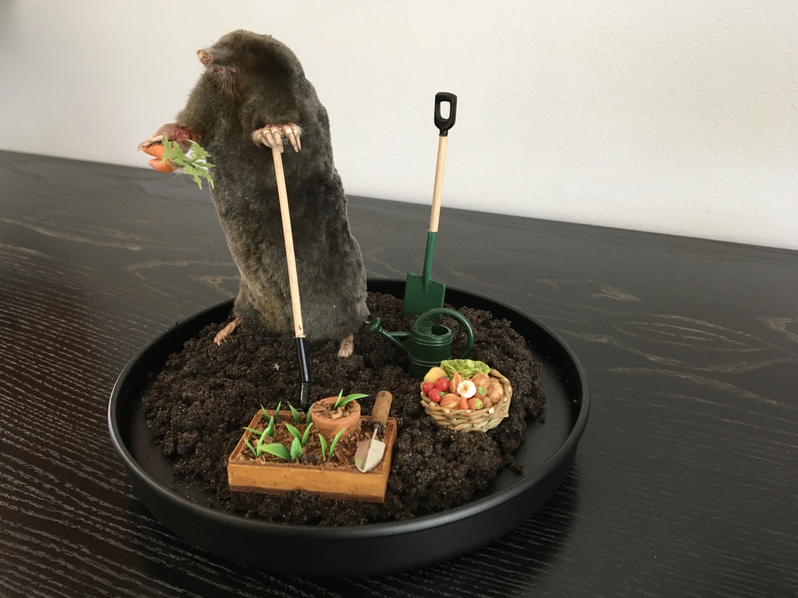Gardener Mole