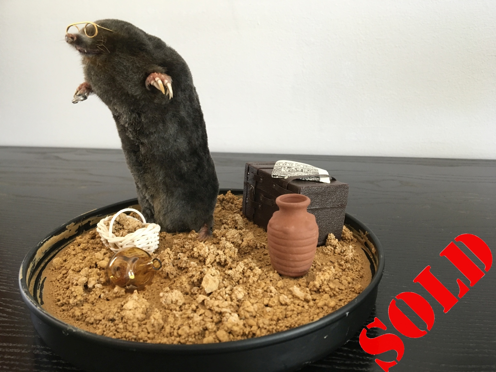 Archaeologist Mole