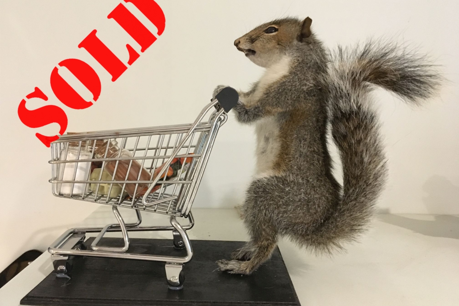 Sylvia goes shopping