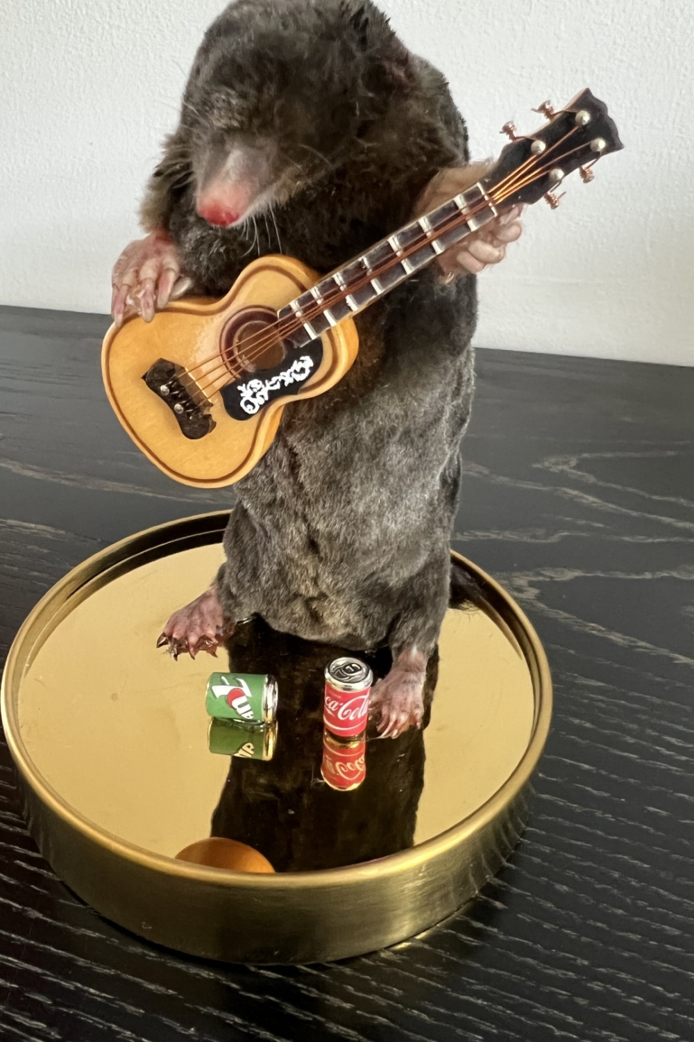 Accoustic guitar mole