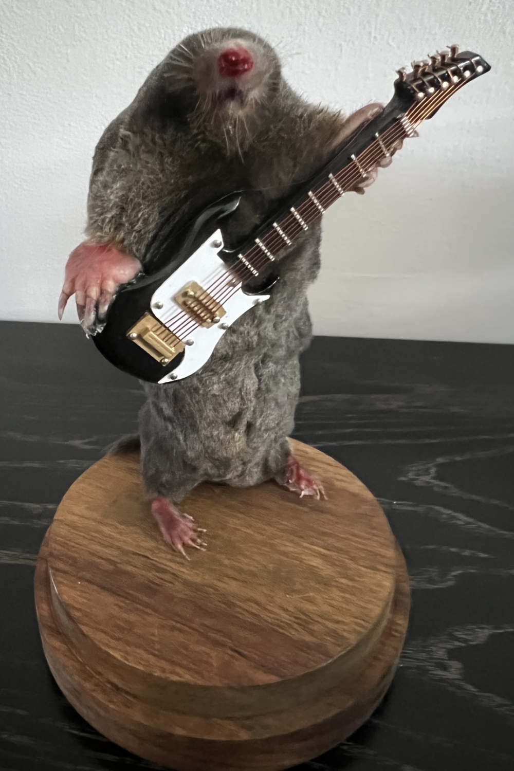 Electric guitar mole