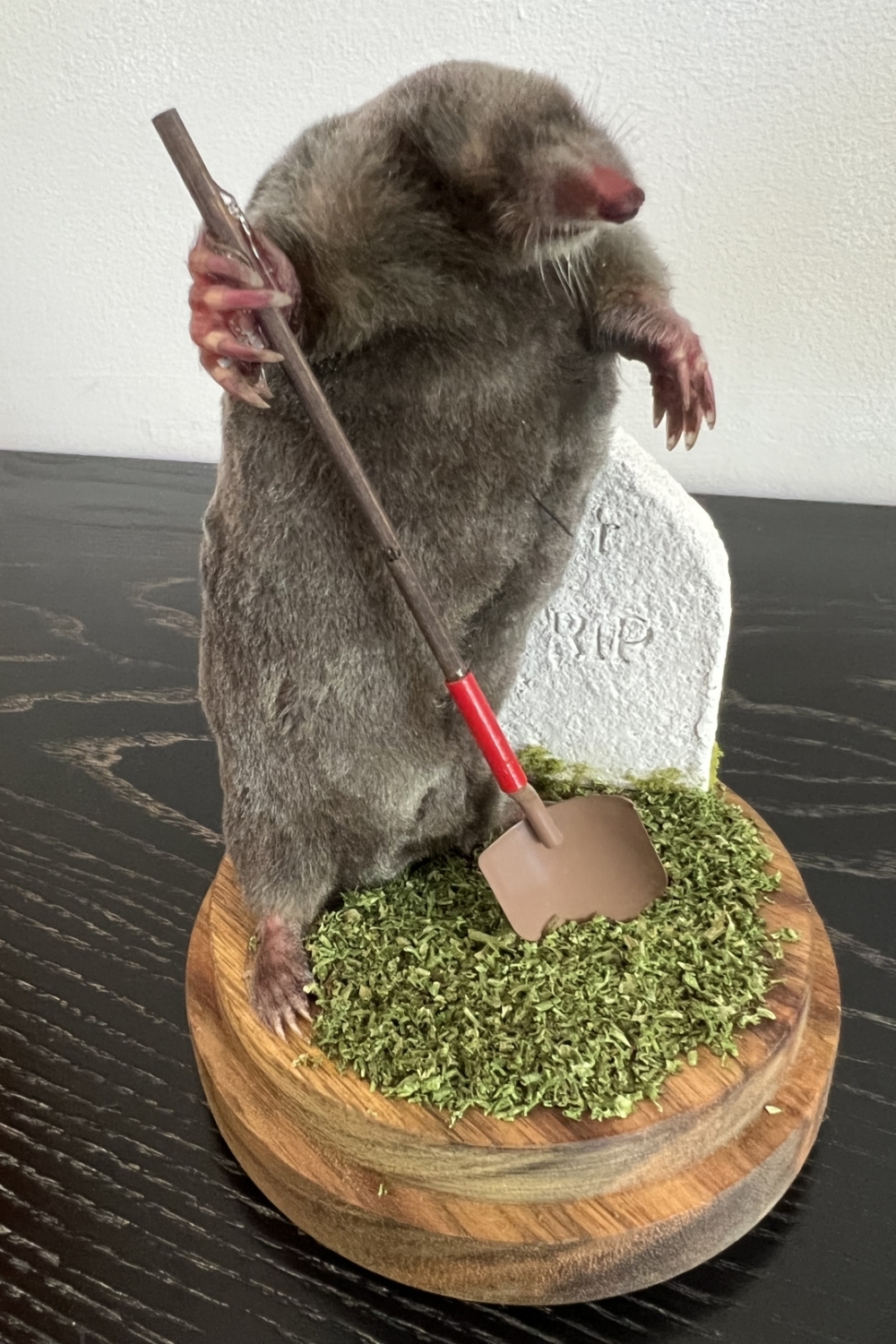 Gravedigger mole, small dome