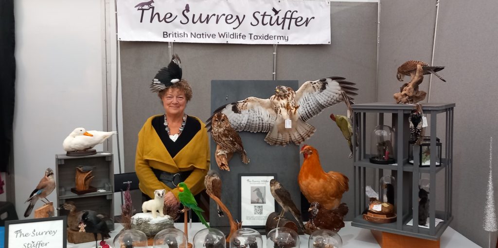 Helena and her taxidermy display.